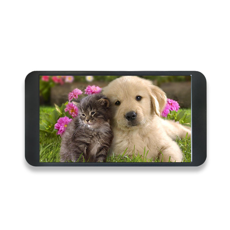 7 Inch 1080P Monitor 1920*1080 - огляд і ціна Monitor Portable Usb